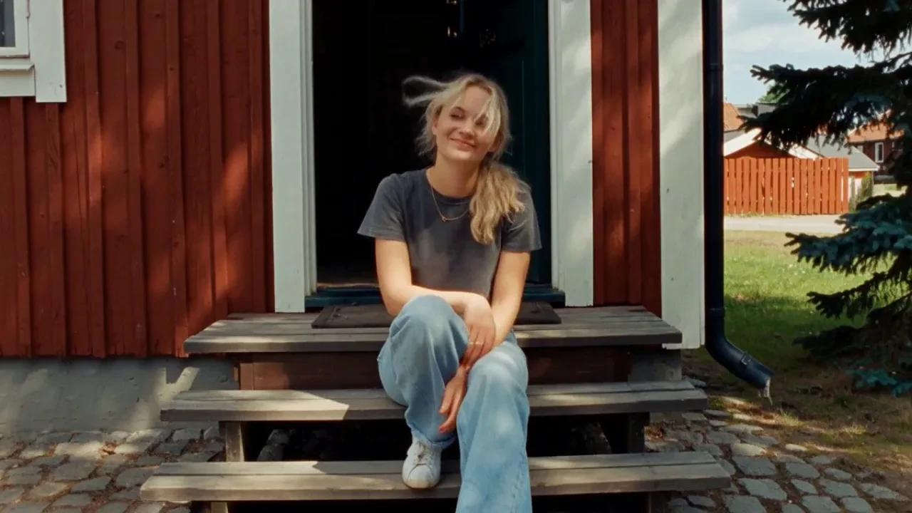 Swedish Neighborhood Diary